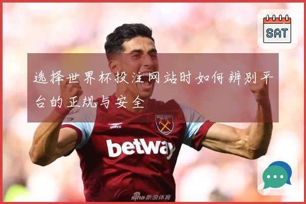 选择世界杯投注网站时如何辨别平台的正规与安全