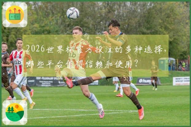 2026世界杯官方投注的多种选择，哪些平台值得信赖和使用？