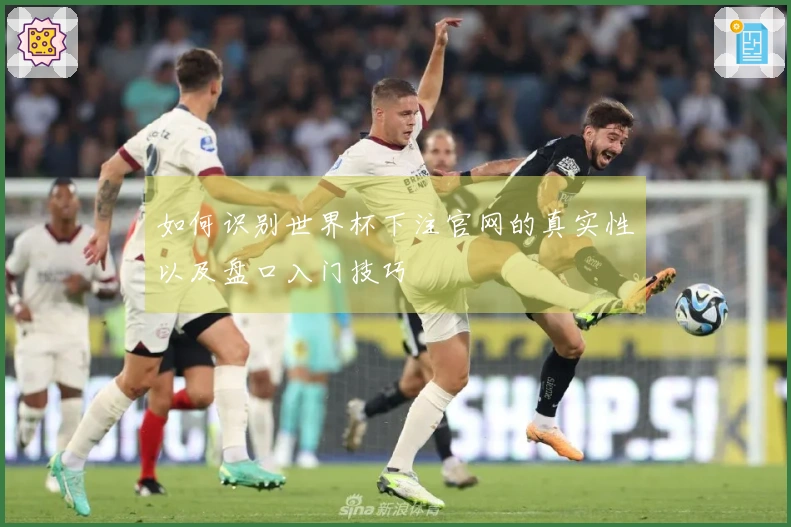 如何识别世界杯下注官网的真实性以及盘口入门技巧