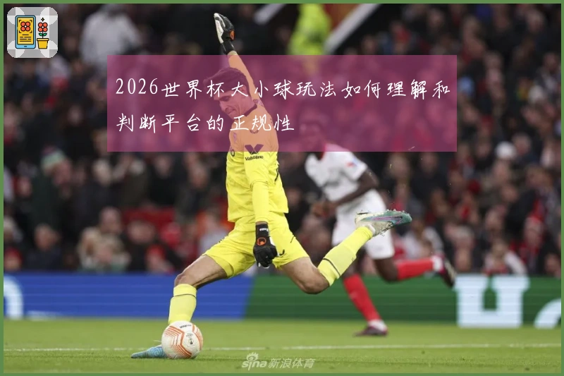 2026世界杯大小球玩法如何理解和判断平台的正规性