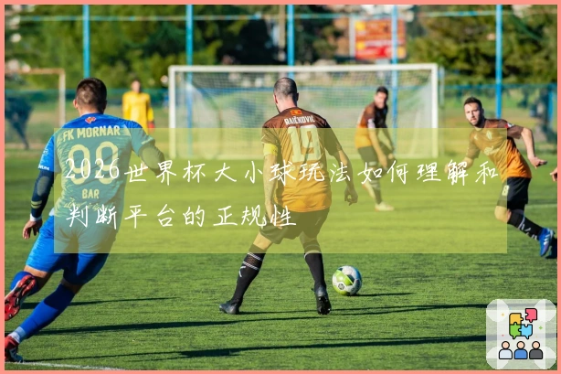 2026世界杯大小球玩法如何理解和判断平台的正规性