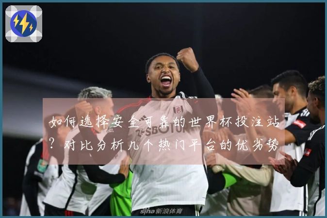 如何选择安全可靠的世界杯投注站？对比分析几个热门平台的优劣势