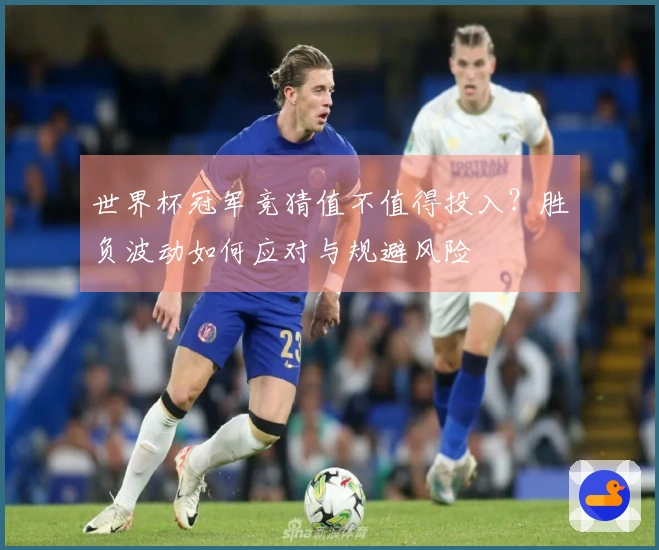 世界杯冠军竞猜值不值得投入？胜负波动如何应对与规避风险