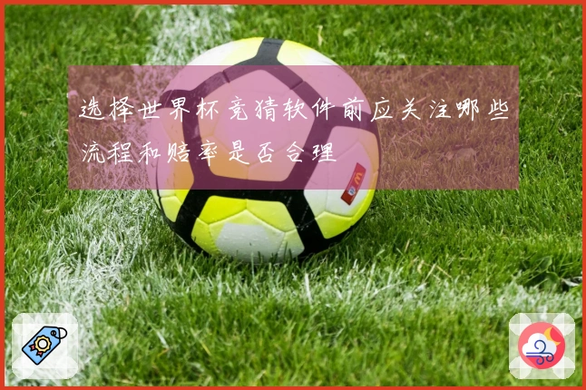 选择世界杯竞猜软件前应关注哪些流程和赔率是否合理