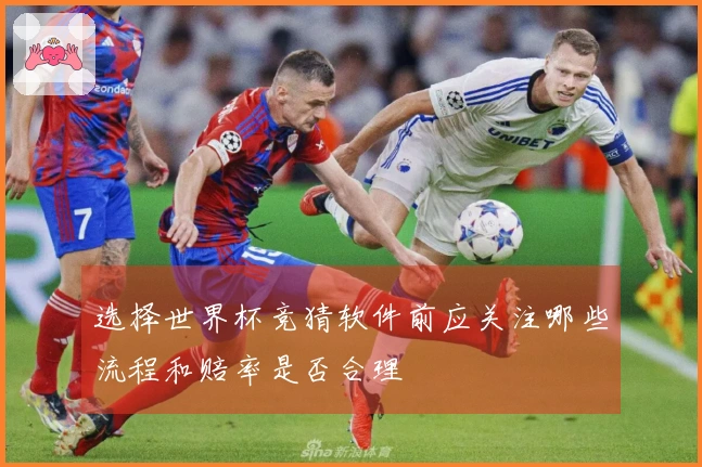 选择世界杯竞猜软件前应关注哪些流程和赔率是否合理