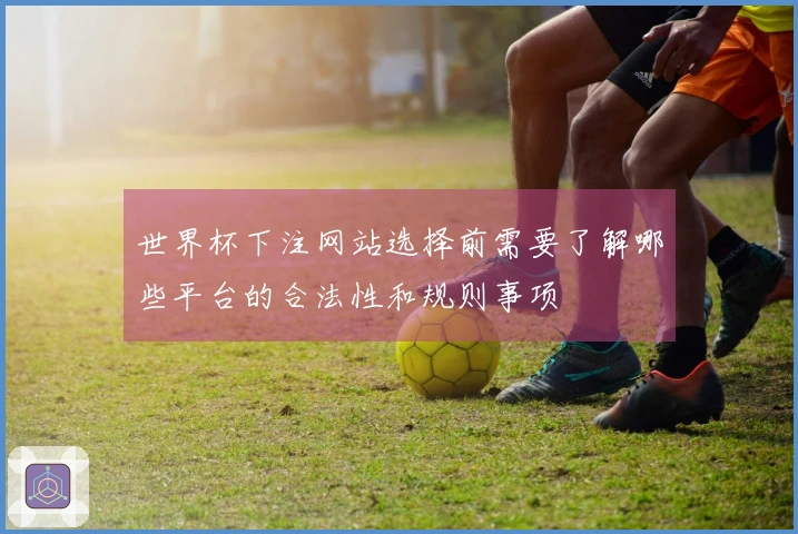 世界杯下注网站选择前需要了解哪些平台的合法性和规则事项